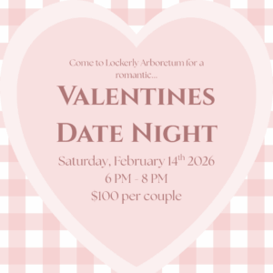 Valentines Date Night