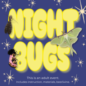 Night Bugs