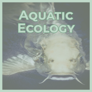 Aquatic Ecology banner with a close-up of a fish head underwater and bold green title text.