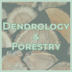 Title image for a dendrology and forestry resource, showing stacked log cross-sections with bold green text: DENDROLOGY & FORESTRY.