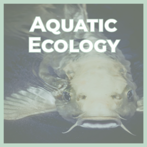 Banner poster with a close-up of a fish underwater and bold 'AQUATIC ECOLOGY' text.