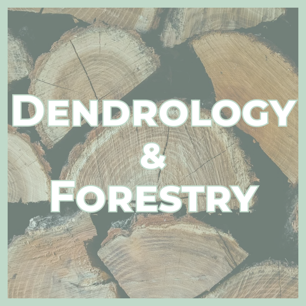 Poster-style title card: 'DENDROLOGY & FORESTRY' over a stacked log background with a mint border.