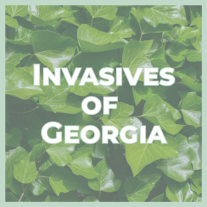 Poster title 'Invasives of Georgia' displayed over a dense green leaf background, conveying a Georgia invasive plants guide.