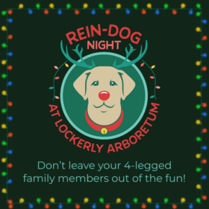 LiL - ReinDog Night